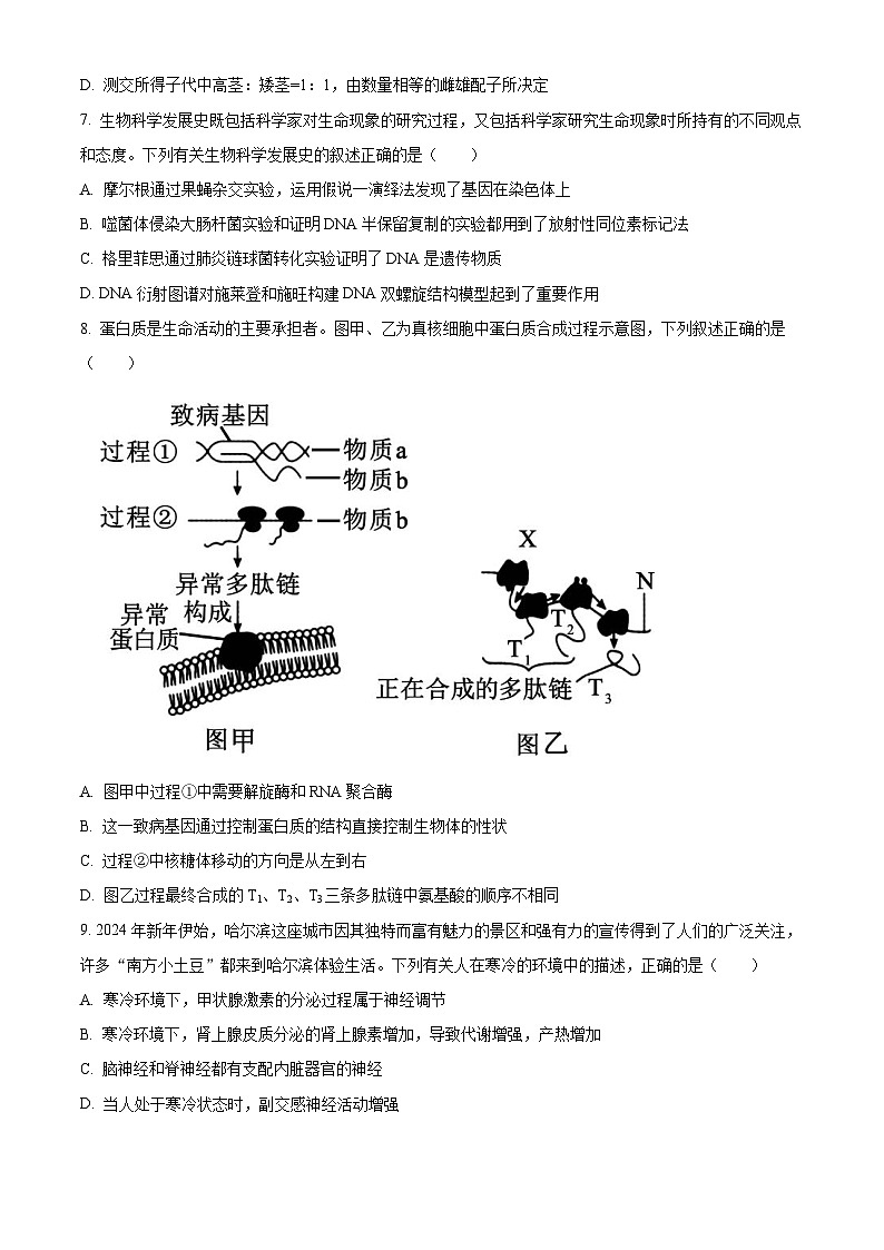 安徽省芜湖市安徽师大附中2023-2024学年高二下学期第一次学情检测生物试题（原卷版）第3页