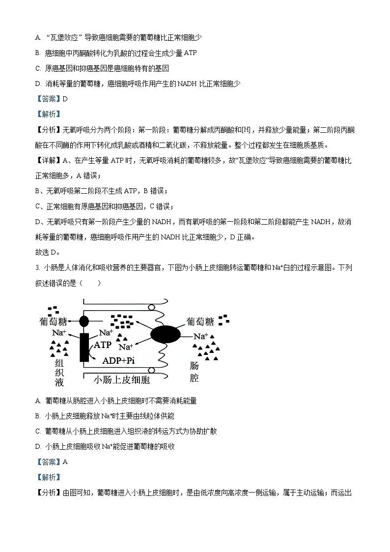 安徽省芜湖市安徽师大附中2023-2024学年高二下学期第一次学情检测生物试题 Word版含解析第2页