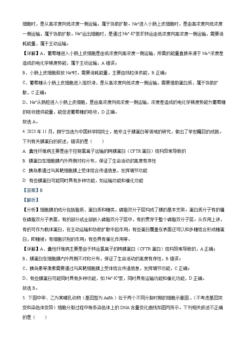 安徽省芜湖市安徽师大附中2023-2024学年高二下学期第一次学情检测生物试题 Word版含解析第3页