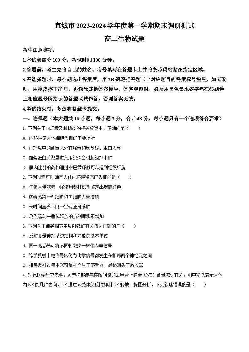 安徽省宣城市2023-2024学年高二上学期1月期末生物试卷（Word版附解析）01