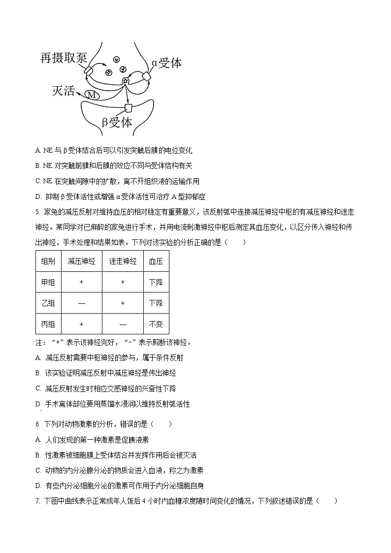 安徽省宣城市2023-2024学年高二上学期1月期末生物试卷（Word版附解析）02