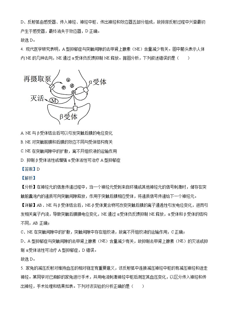 安徽省宣城市2023-2024学年高二上学期1月期末生物试卷（Word版附解析）03