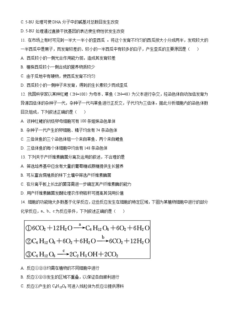 浙江省强基联盟2023-2024学年高三下学期3月联考生物试题（原卷版）第3页