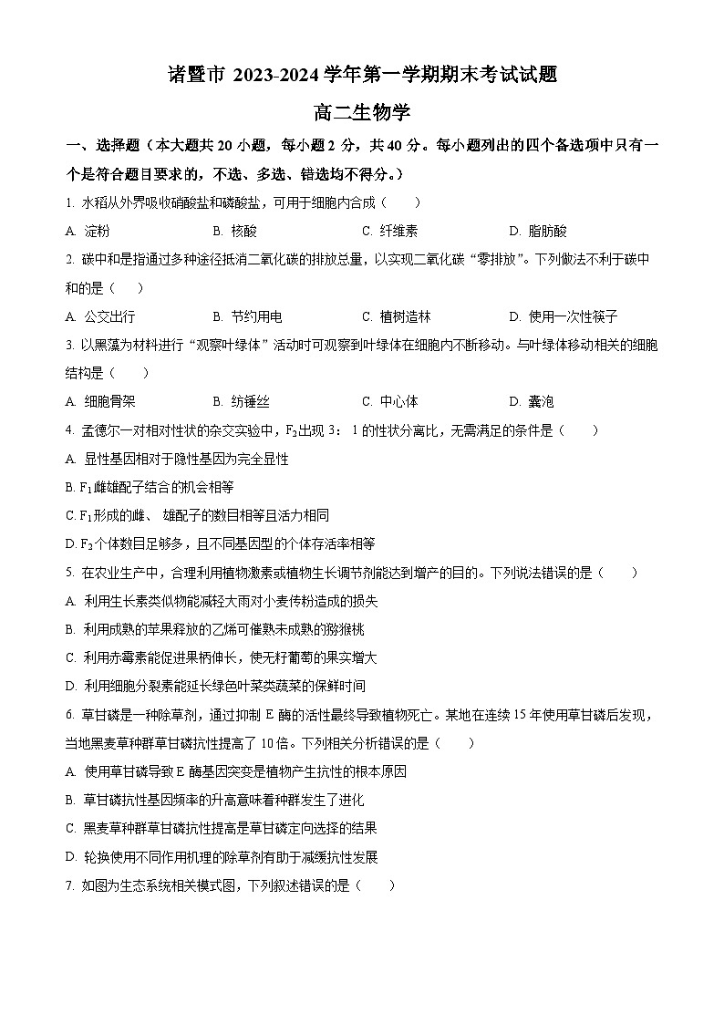 浙江省绍兴市诸暨市2023-2024学年高二上学期期末检测生物试卷（Word版附解析）01