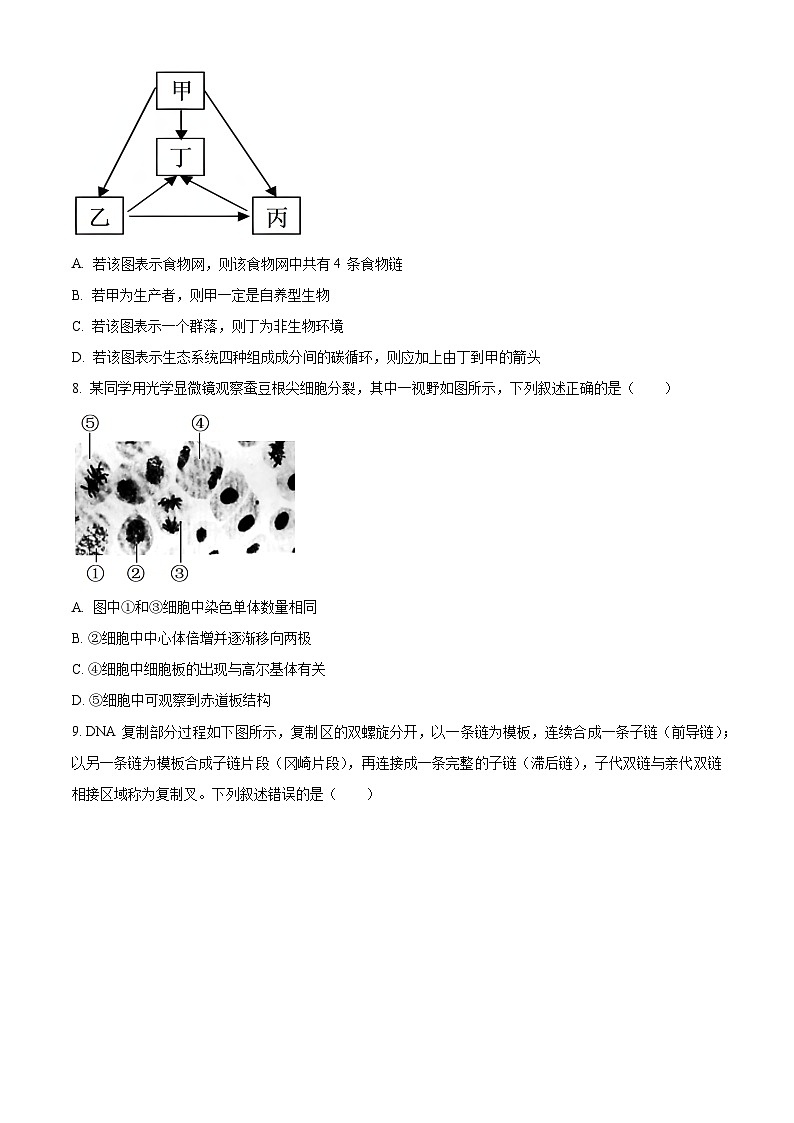 浙江省绍兴市诸暨市2023-2024学年高二上学期期末检测生物试卷（Word版附解析）02