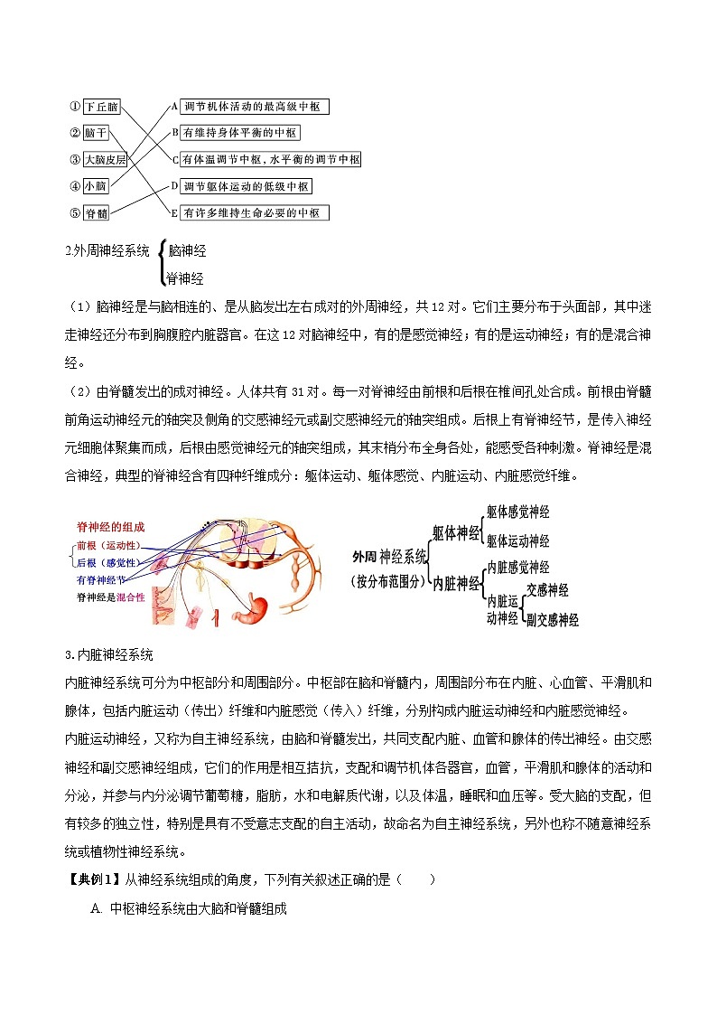 2.1 神经调节的结构基础（学生版）-高二生物同步精品讲义（人教版选择性必修1）第3页