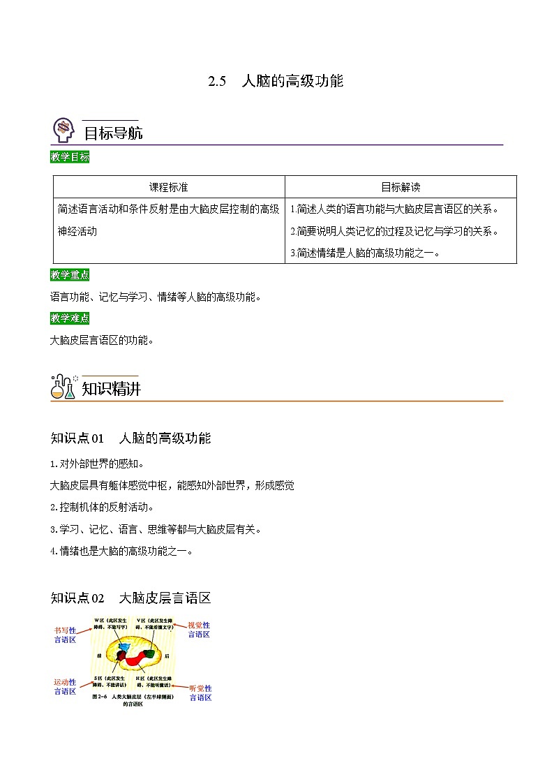 2.5 人脑的高级功能-高二生物同步精品讲义（人教版选择性必修1）01