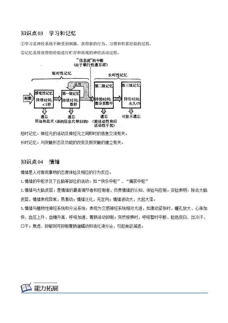 2.5 人脑的高级功能-高二生物同步精品讲义（人教版选择性必修1）02