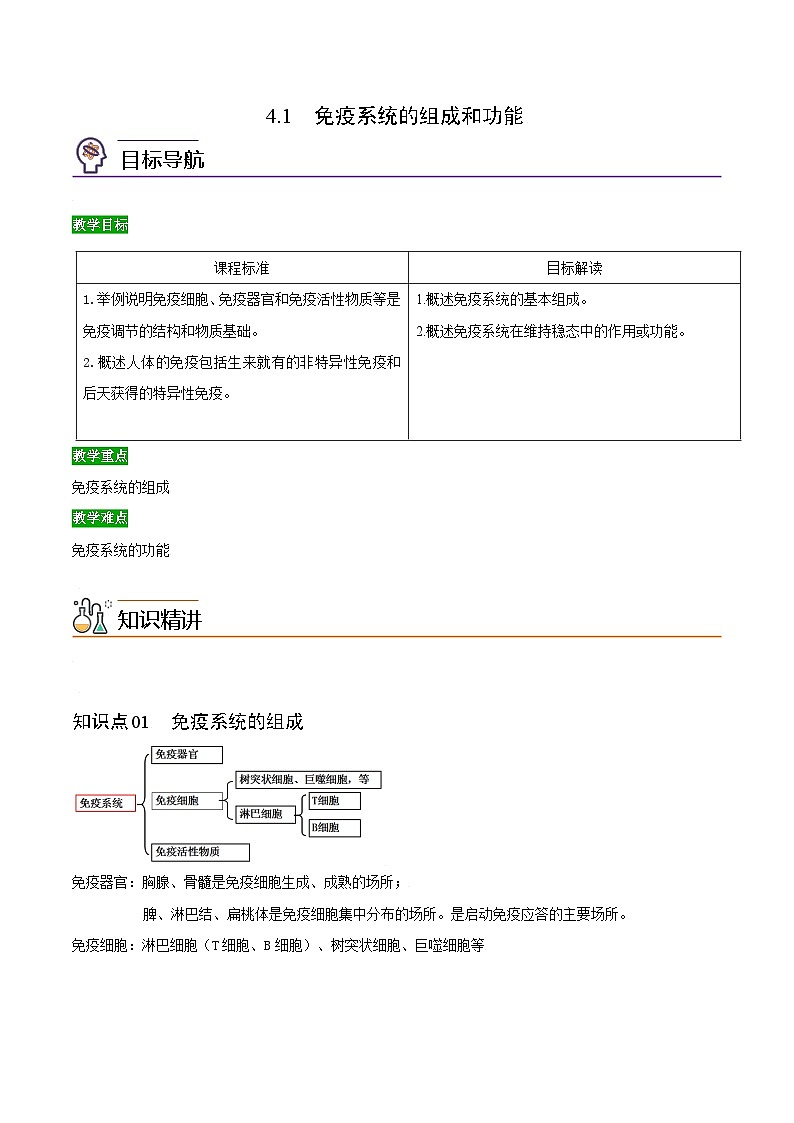 4.1 免疫系统的组成和功能-高二生物同步精品讲义（人教版选择性必修1）01