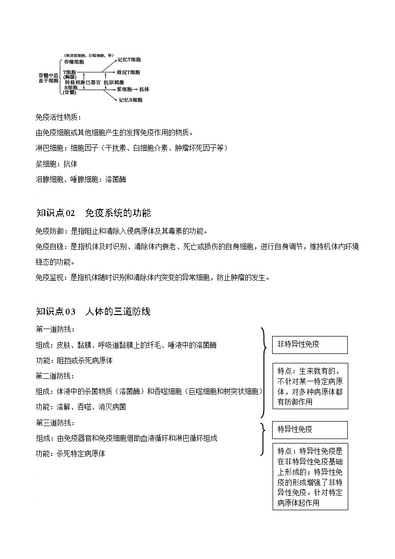 4.1 免疫系统的组成和功能-高二生物同步精品讲义（人教版选择性必修1）02