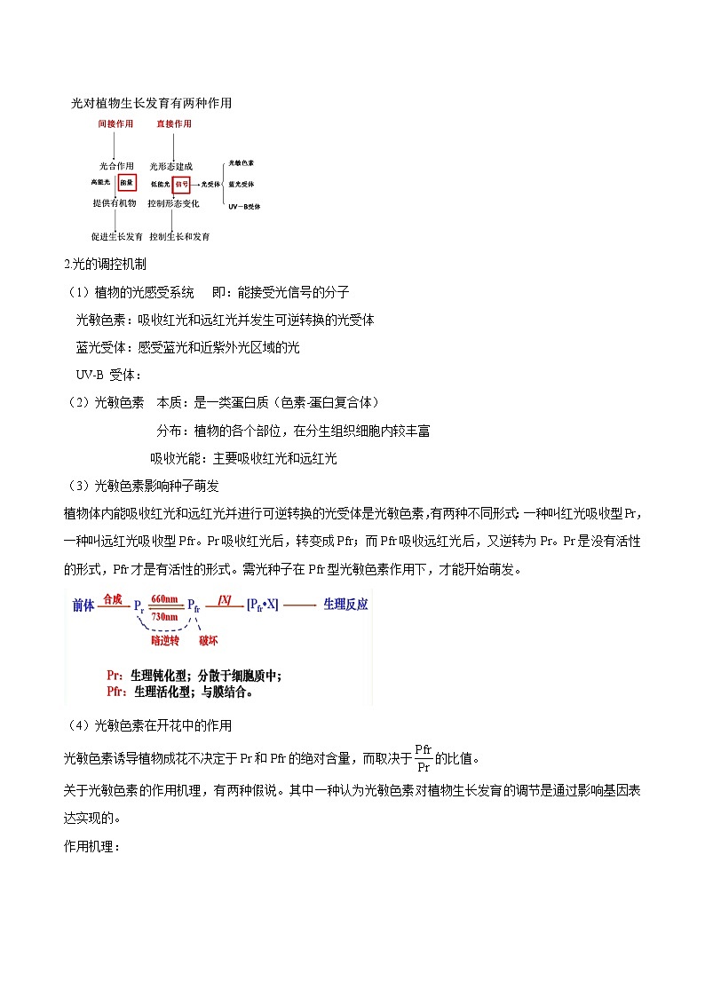 5.4 环境因素参与调节植物的生命活动-高二生物同步精品讲义（人教版选择性必修1）02