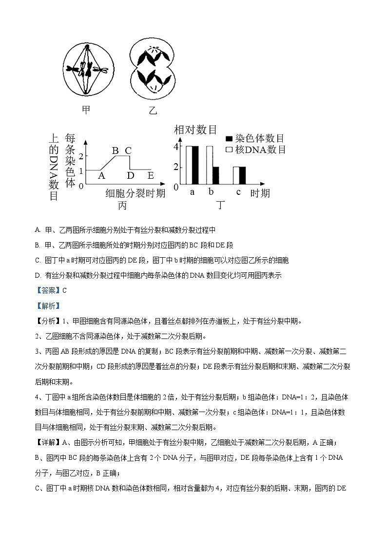 精品解析：重庆市巫溪县上磺中学2022-2023学年高一下学期半期考试（期中）生物试题（解析版）第2页