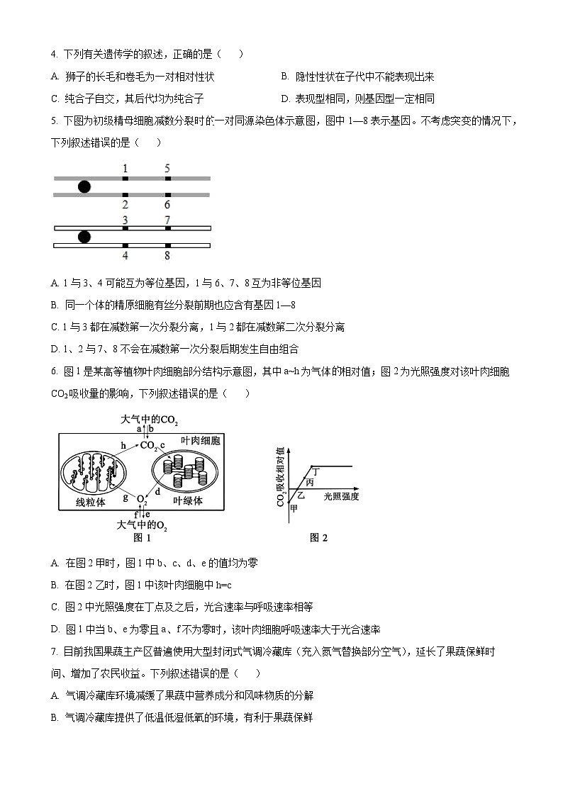精品解析：重庆市巫溪县上磺中学2022-2023学年高一下学期半期考试（期中）生物试题（原卷版）第2页