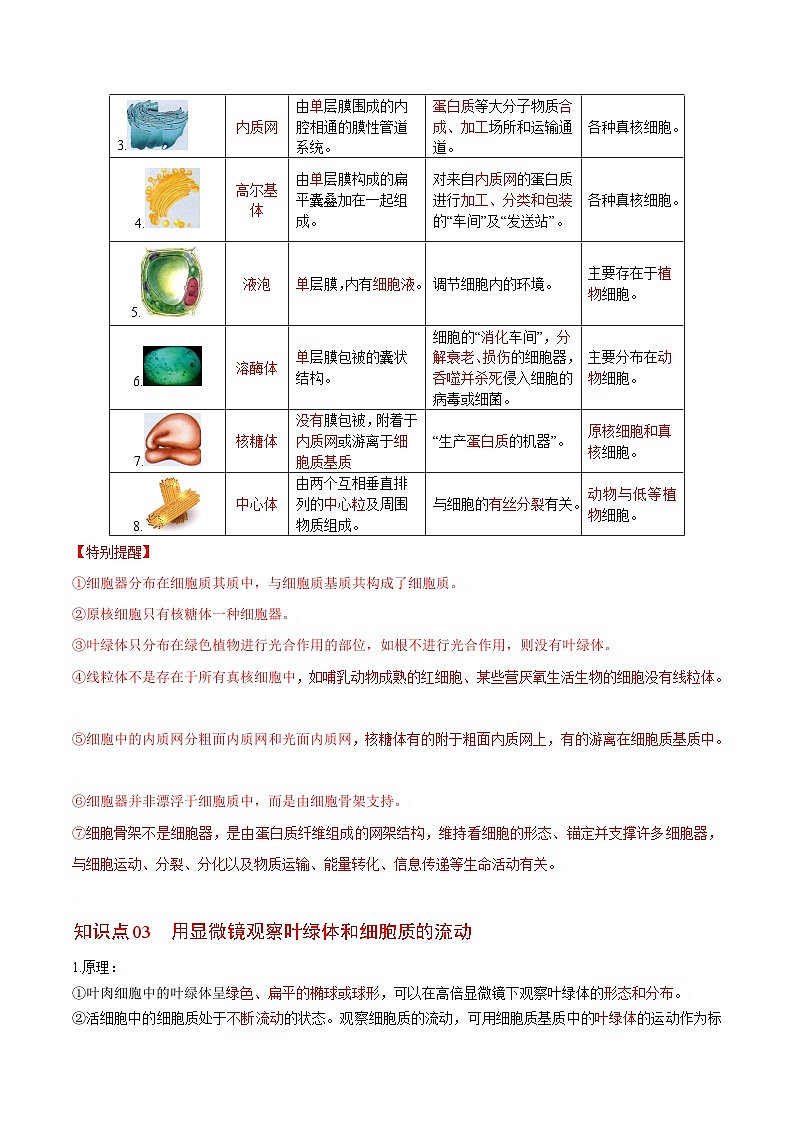 3.2 细胞器之间的分工合作（第1课时）-高一生物同步精品讲义（人教必修1）02