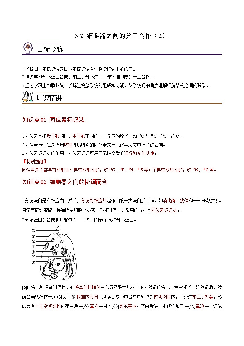 3.2 细胞器之间的分工合作（第2课时）（学生版）-高一生物同步精品讲义（人教必修1）第1页