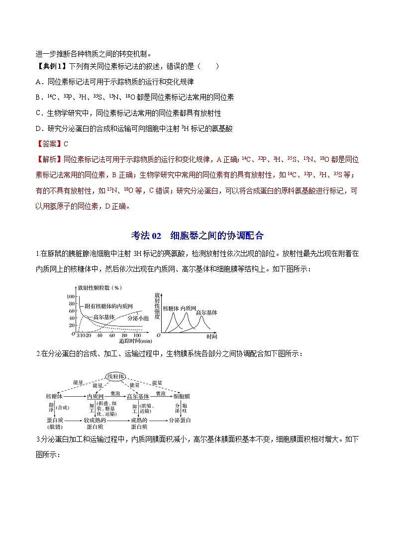 3.2 细胞器之间的分工合作（第2课时）（学生版）-高一生物同步精品讲义（人教必修1）第3页