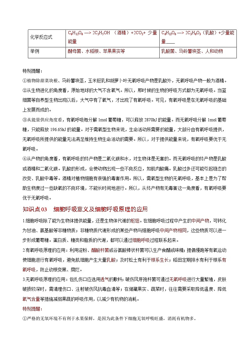 5.3 细胞呼吸的原理和应用（第2课时）-高一生物同步精品讲义（人教必修1）02