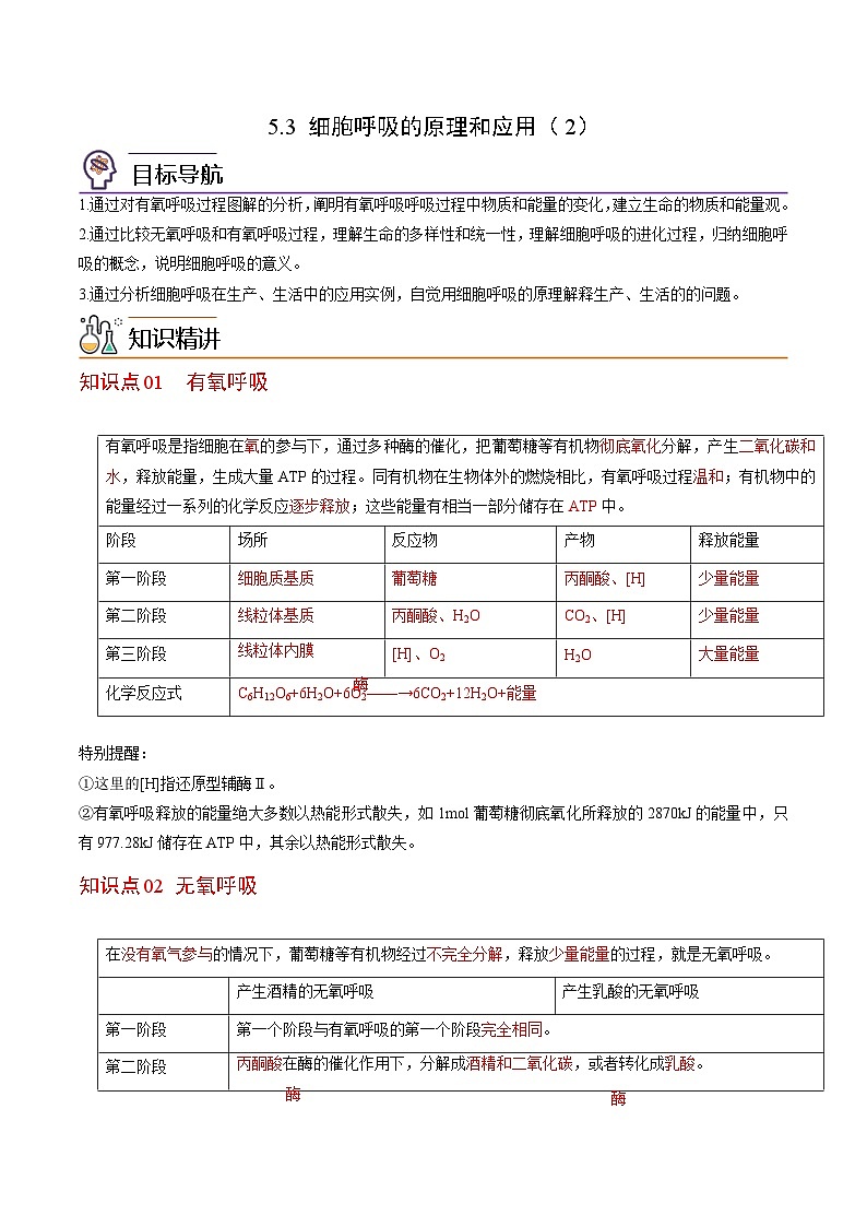 5.3 细胞呼吸的原理和应用（第2课时）-高一生物同步精品讲义（人教必修1）01