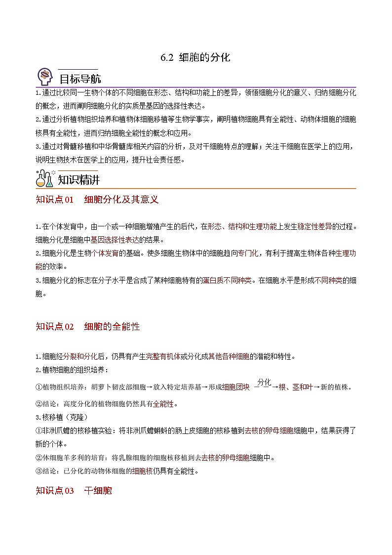 6.2 细胞的分化-高一生物同步精品讲义（人教必修1）01