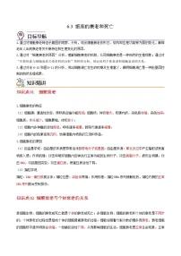 高中生物人教版 (2019)必修1《分子与细胞》第3节 细胞的衰老和死亡优秀导学案及答案