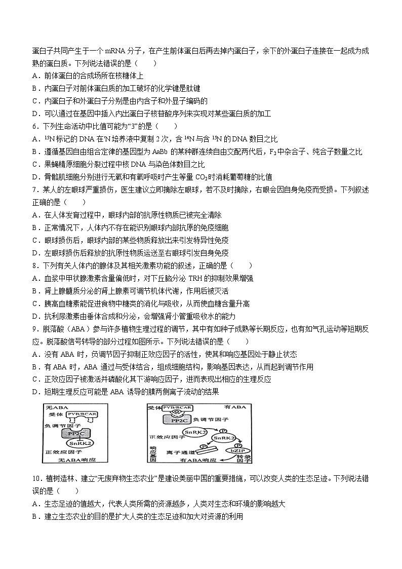 2024届湖南省长沙市四区高三下学期3月调研考试生物试题(无答案)02