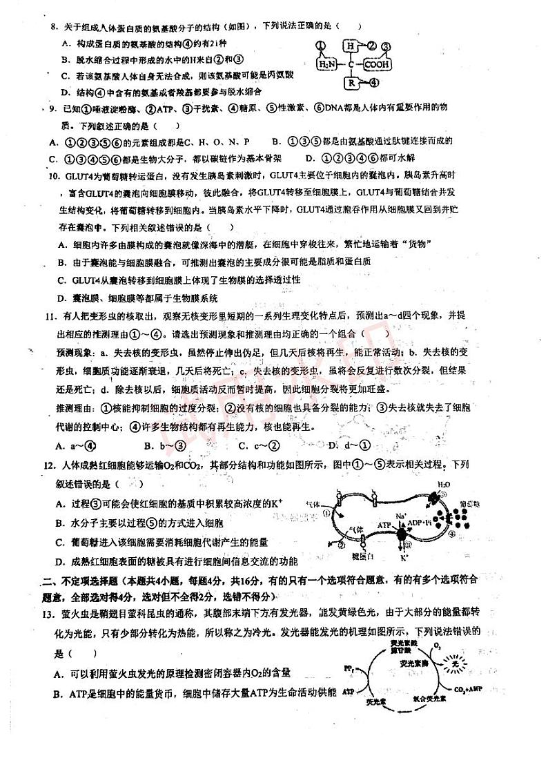 湖南省衡阳市耒阳市正源学校2023-2024学年高一下学期3月月考生物试题02