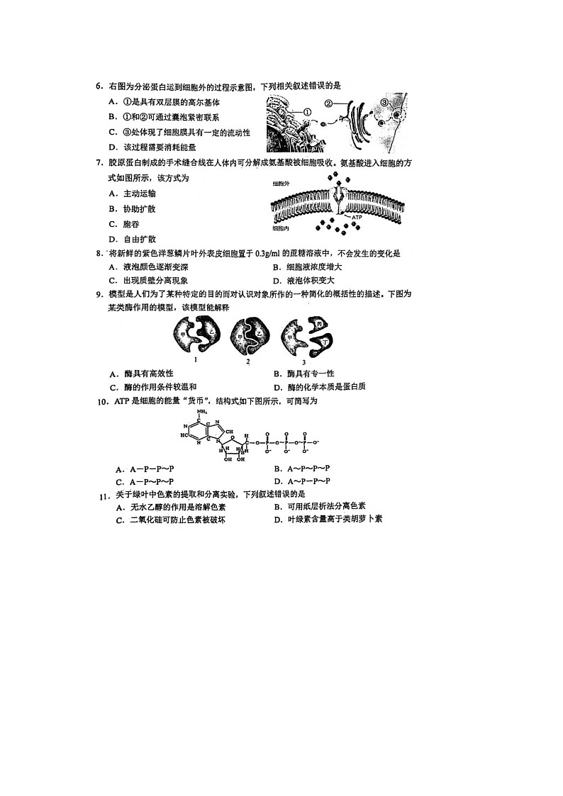 陕西省2023年普通高中学业水平合格性考试生物试题02