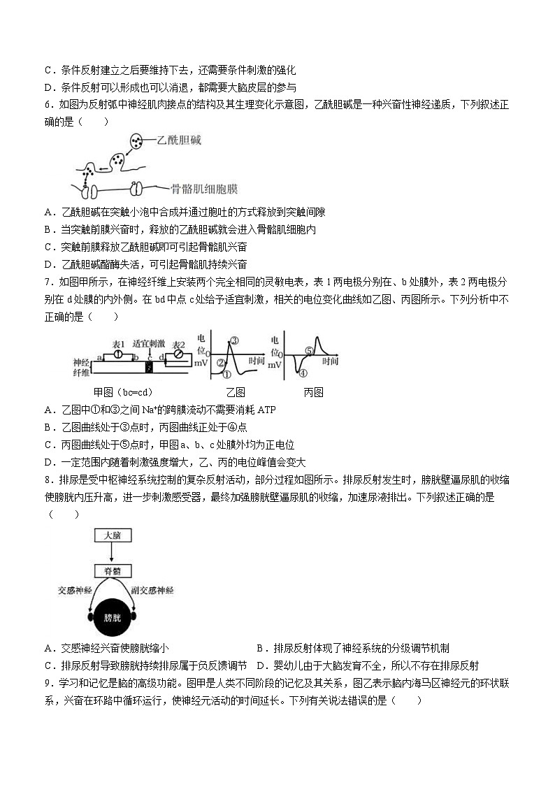 四川省成都市金牛区实外高级中学2023-2024学年高二上学期第二次月考生物试题第2页