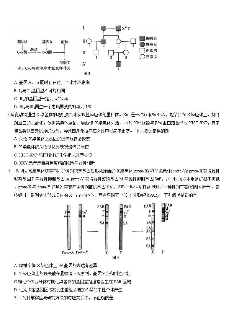 巴蜀中学2024届高三3月高考适应性月考卷（七）生物试卷第2页