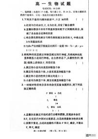 山东省菏泽市鄄城县第一中学2023-2024学年高一下学期3月月考生物试题