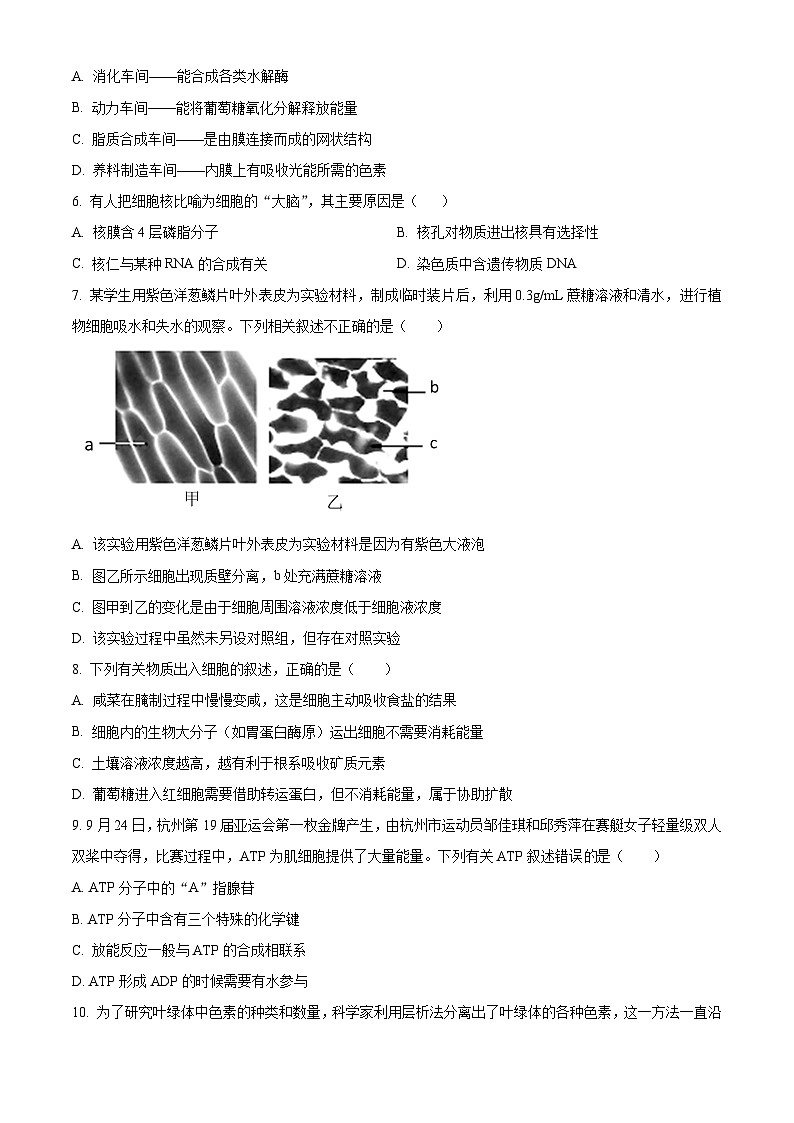 广西省桂林市2023-2024学年高一上学期期末质量检测生物试题（原卷版+解析版）02