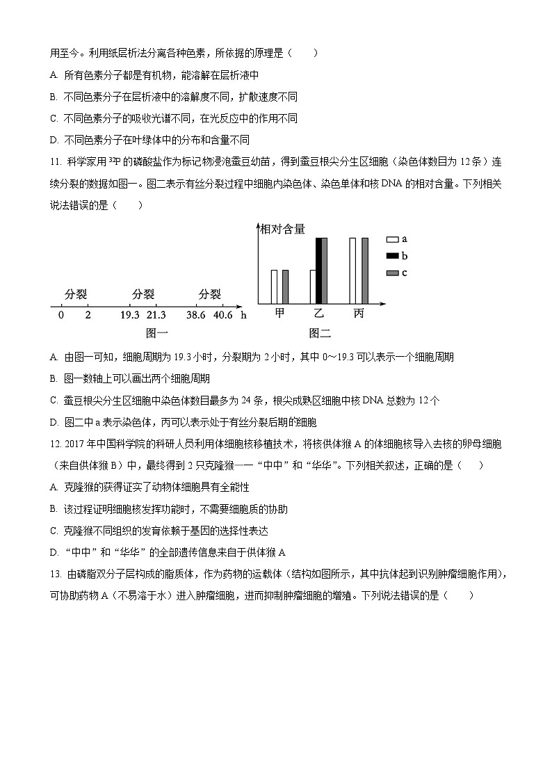 广西省桂林市2023-2024学年高一上学期期末质量检测生物试题（原卷版+解析版）03