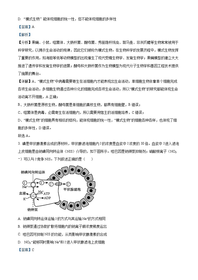 湖南省长沙市2023-2024学年高一下学期入学暨寒假作业检测联考生物试题（原卷版+解析版）02
