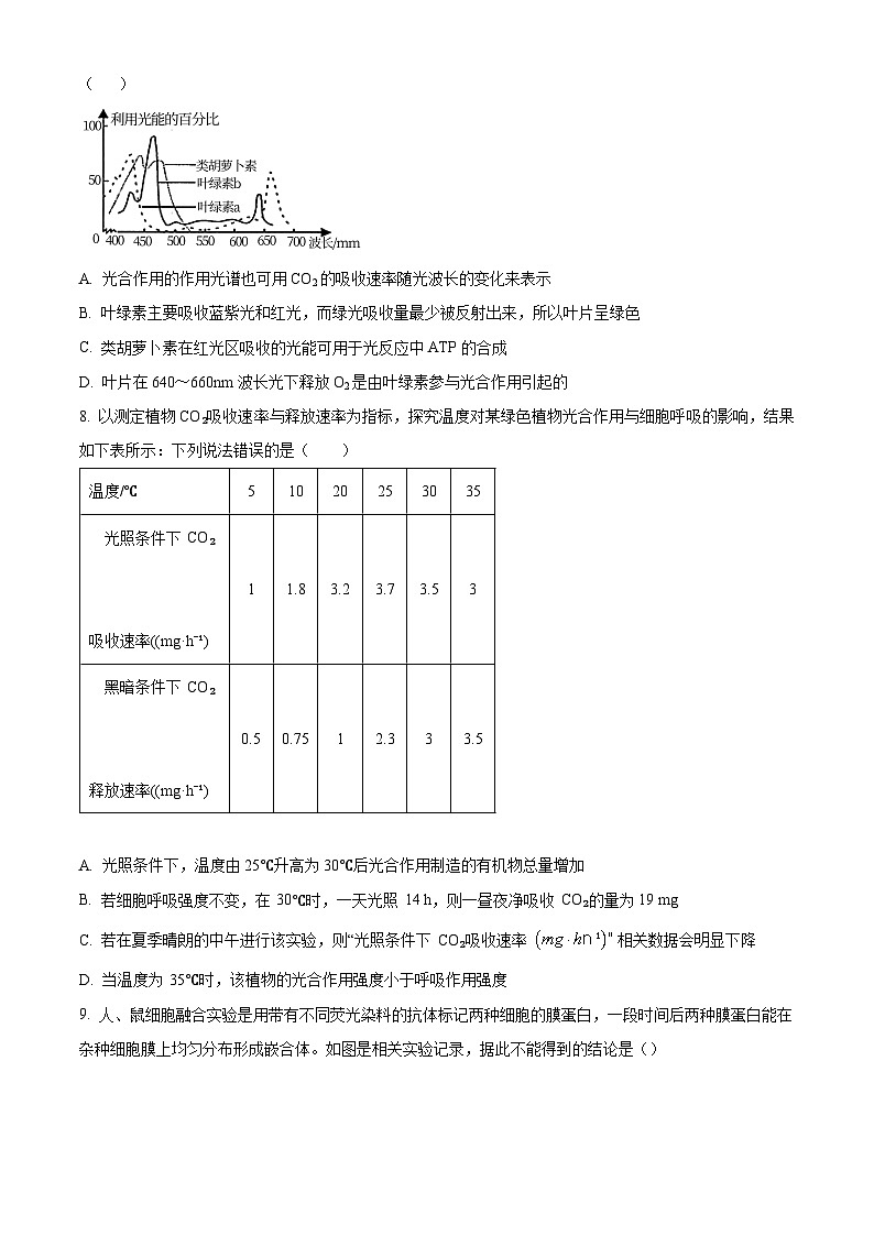湖南省长沙市2023-2024学年高一下学期入学暨寒假作业检测联考生物试题（原卷版+解析版）03