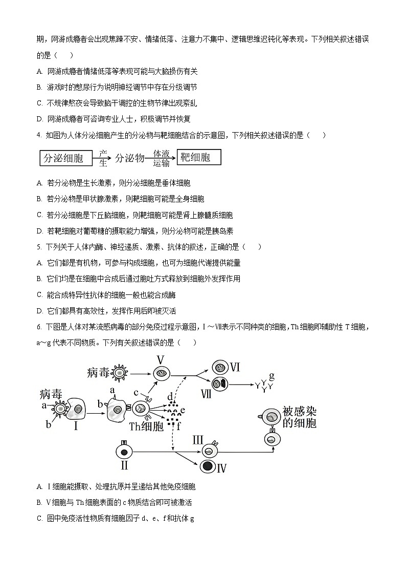 四川省成都市蓉城名校联盟2023-2024学年高二下学期开学考试生物试题（原卷版+解析版）02