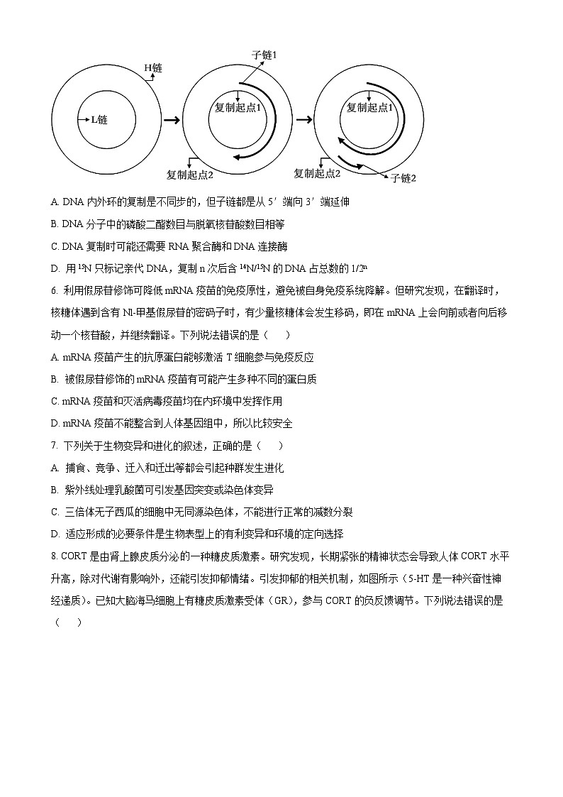 2024届山东省青岛市高三下学期第一次适应性检测（青岛一模）生物03