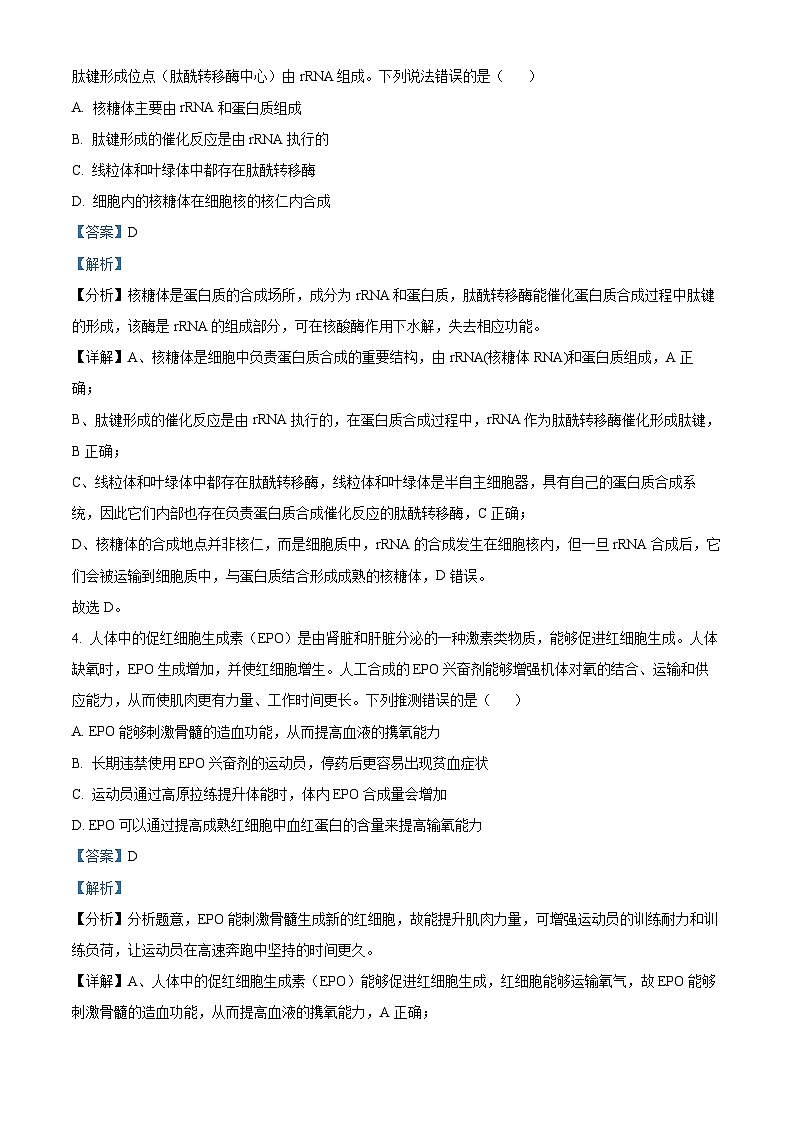 2024届山东省青岛市高三下学期第一次适应性检测（青岛一模）生物03