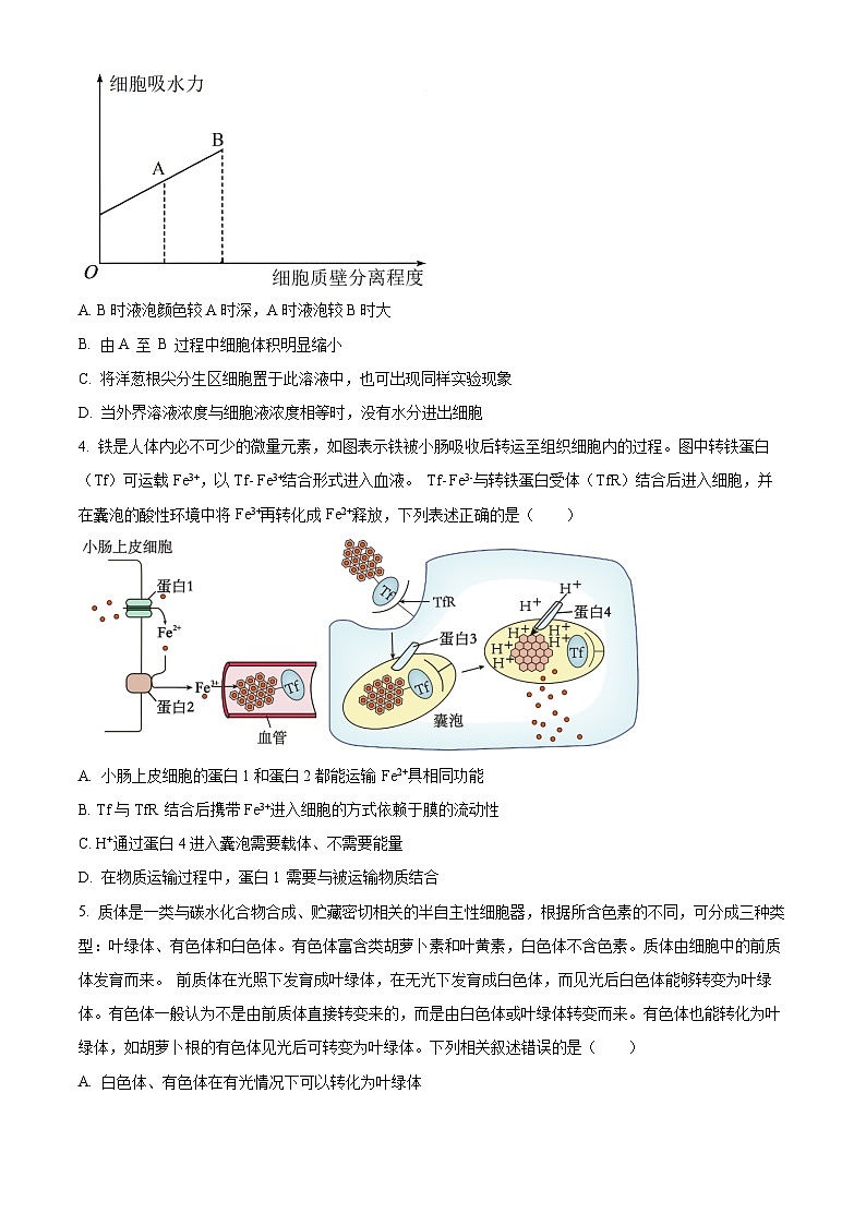 精品解析：2024年重庆市普通高中学业水平选择性考试高考模拟调研卷（三）生物试题（原卷版）第2页