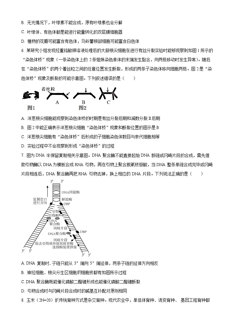 精品解析：2024年重庆市普通高中学业水平选择性考试高考模拟调研卷（三）生物试题（原卷版）第3页