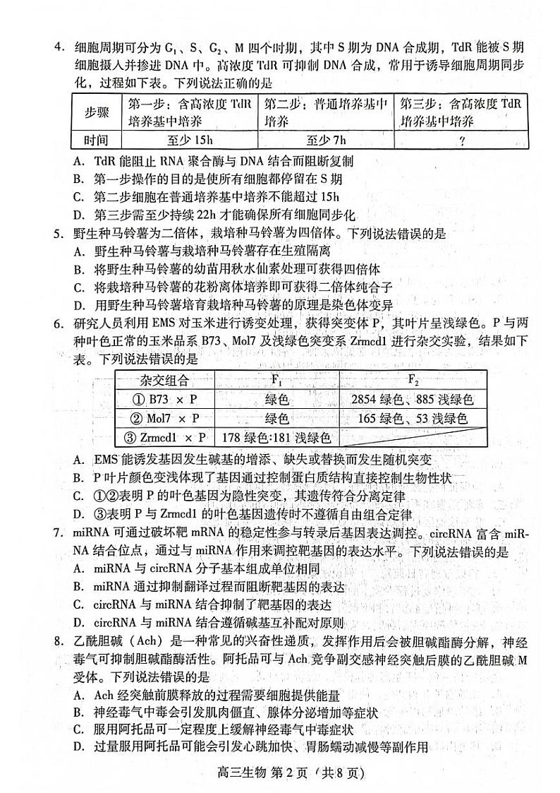 2024届山东省潍坊市滨州市高三一模生物试题02