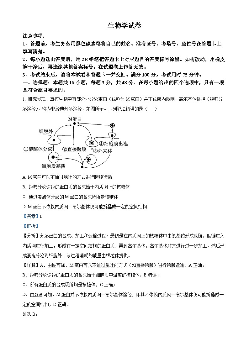 贵州省贵阳市第一中学2023-2024学年高三下学期一模考试生物试题01