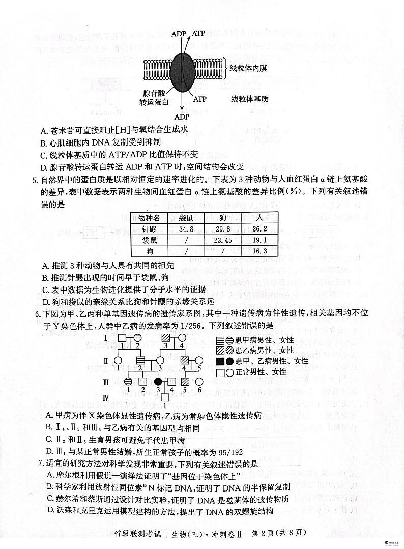 河北省2023-2024学年高三下学期省级联测考试（3月）生物试题第2页