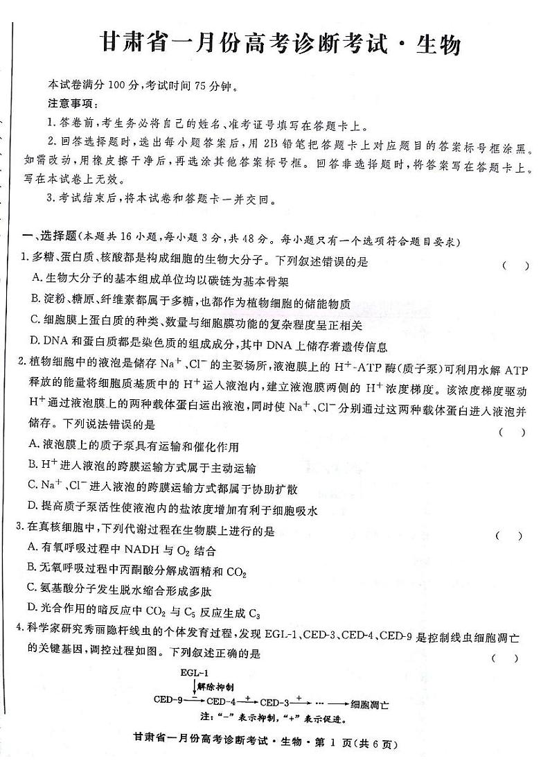 甘肃省2024届高三 一月份高考诊断考试·生物试题第1页