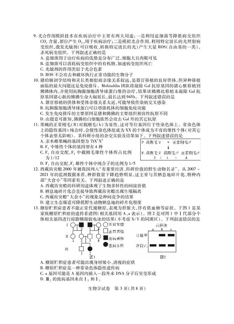 湖北七市州生物试卷第3页