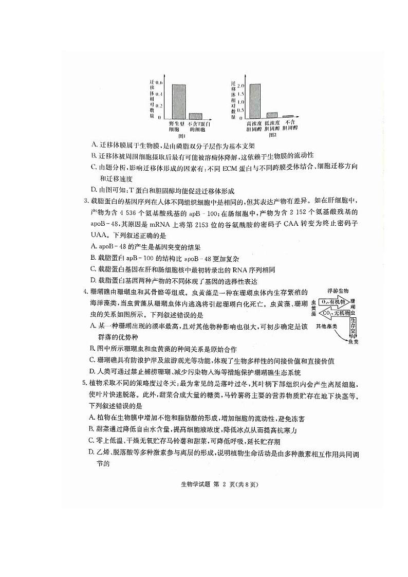 湖南省九校联盟2024届高三下学期第二次联考生物试题02