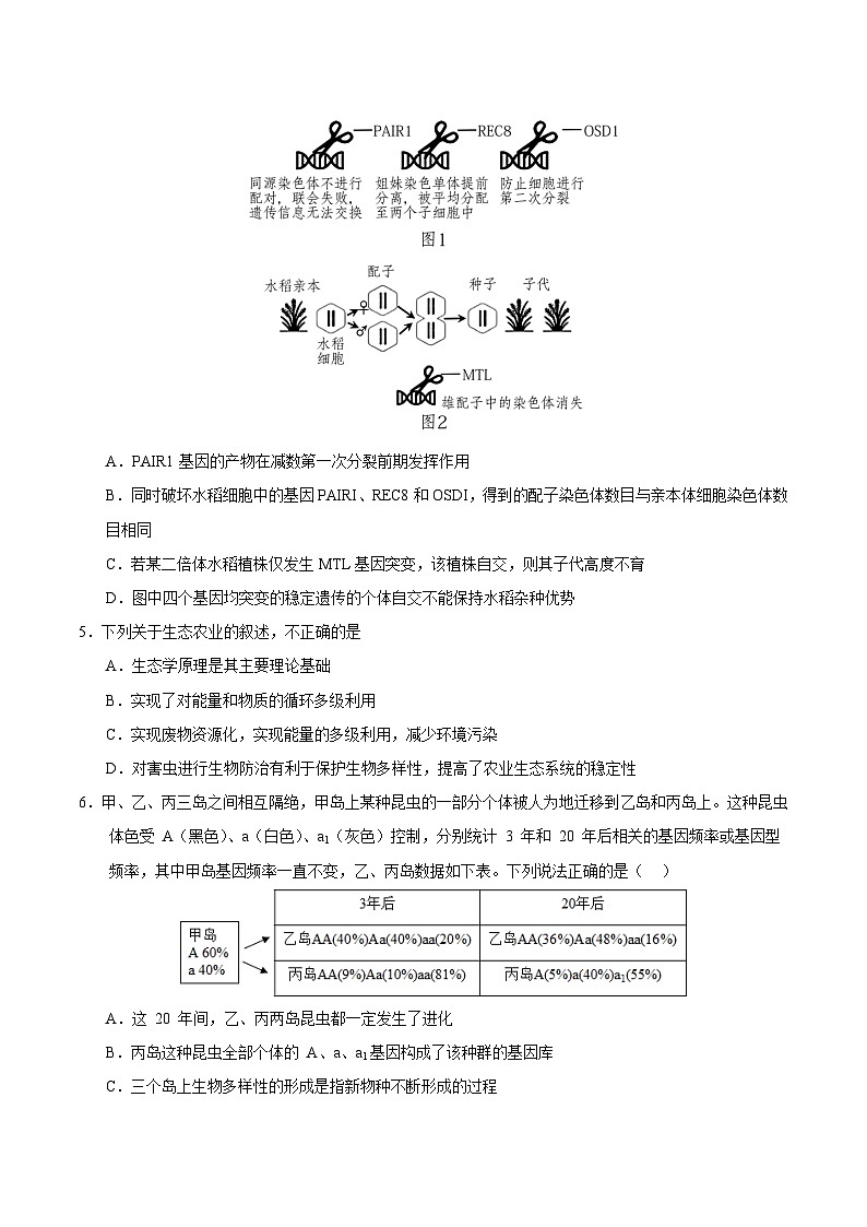 2024年高考生物考前信息必刷卷04（浙江专用）（Word版附解析）03