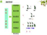 人教版（2019）高中生物学  必修二   遗传与进化    1.2孟德尔豌豆杂交实验（二）课件