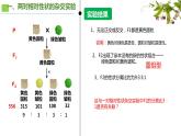 人教版（2019）高中生物学  必修二   遗传与进化    1.2孟德尔豌豆杂交实验（二）课件