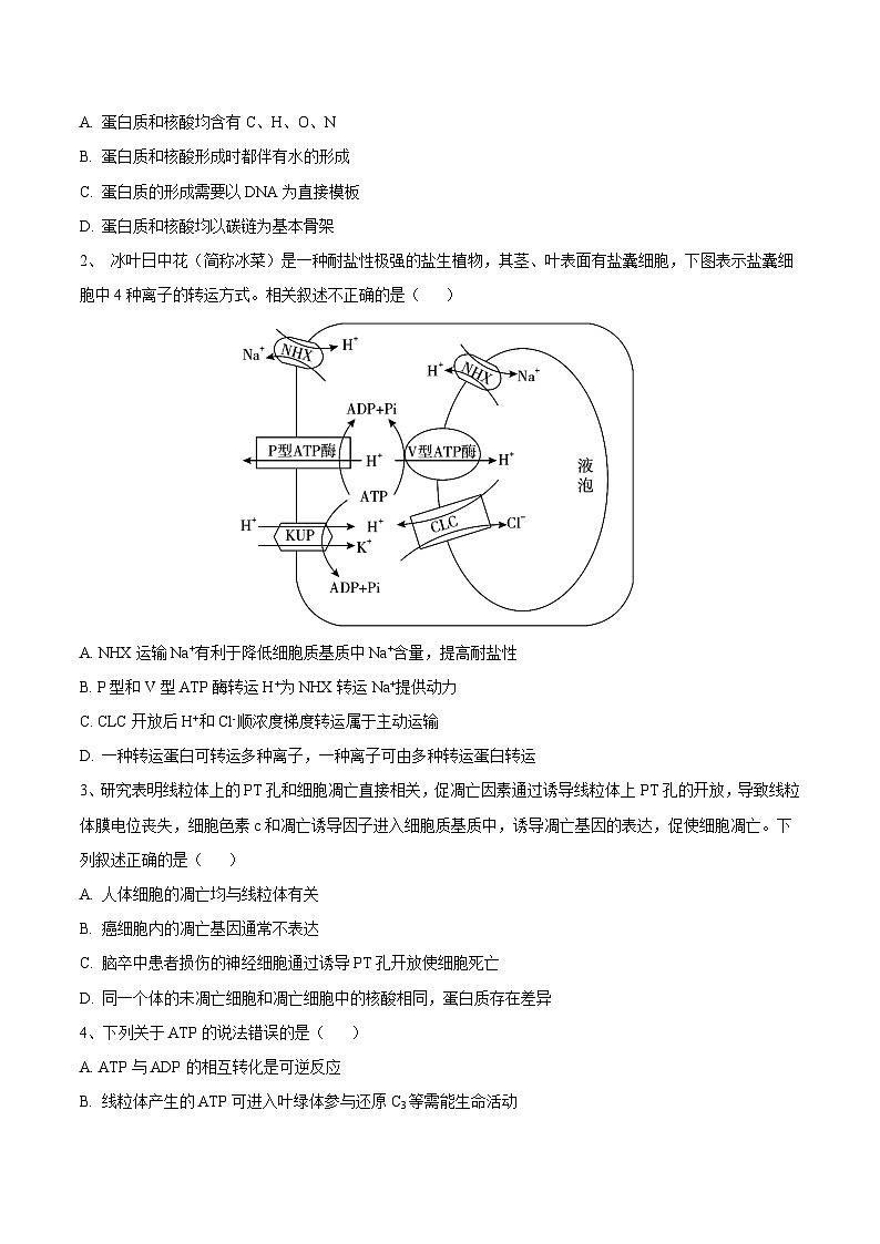 2024年高考生物考前信息必刷卷 02（安徽专用）（考试版）第2页