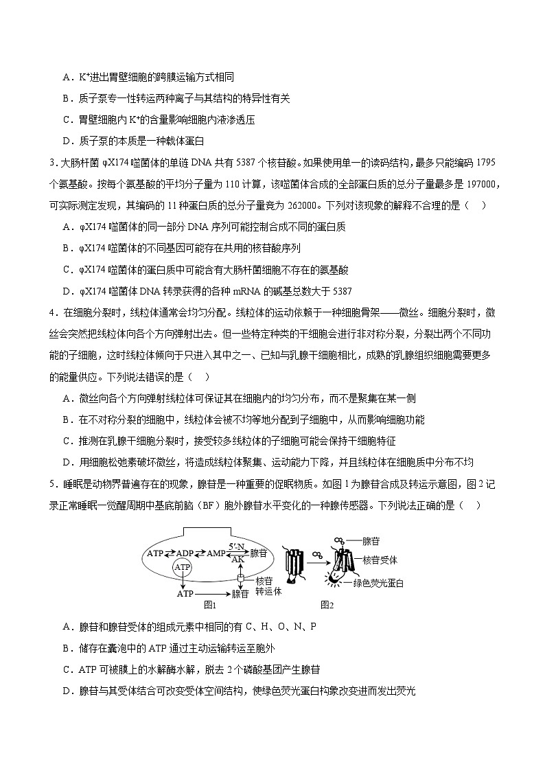考前冲刺卷（广东、广西、福建适用）生物（原卷版）第2页